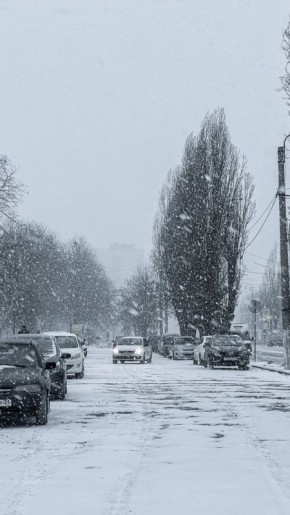 ���������������� ��������� ����������� �� ����� ������� ���� ������������ �� ������