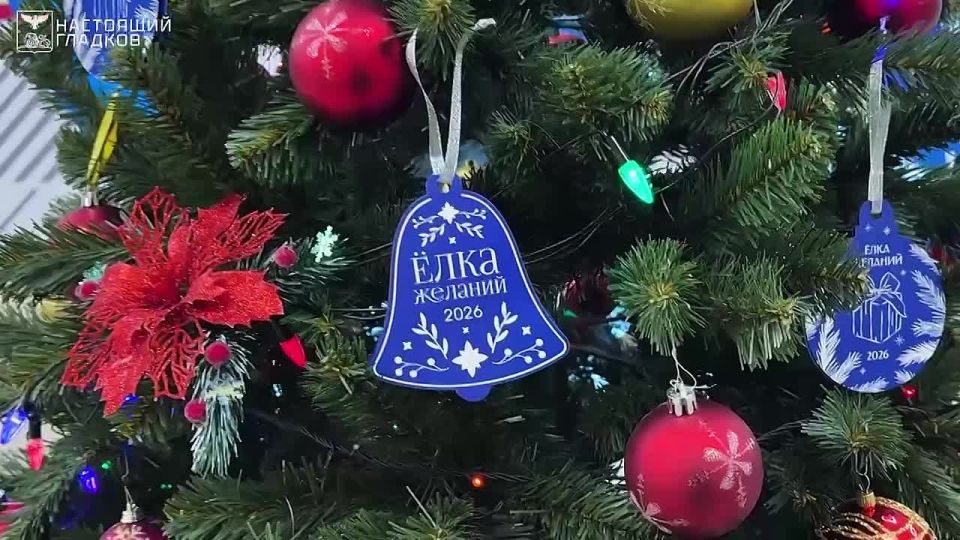 �������� ������� ������������ � ����������������� ����� ����� �������