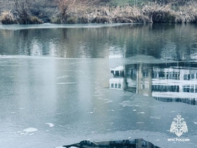 ��������� �������� ����������� �� �������� �� ������ ��