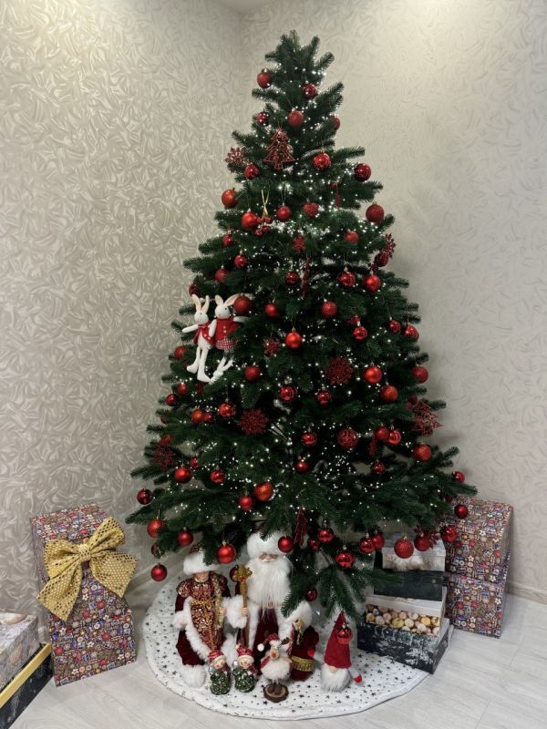 ����, ������!. ��� �����-������� ��������