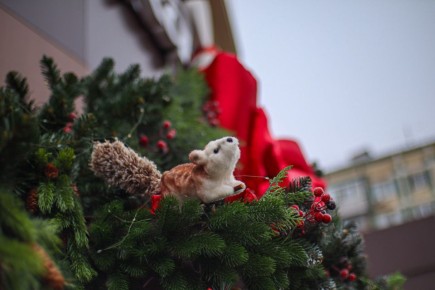 ������ 26 �������. ������� ��������� ������� �������� ������ � ����� �� ������