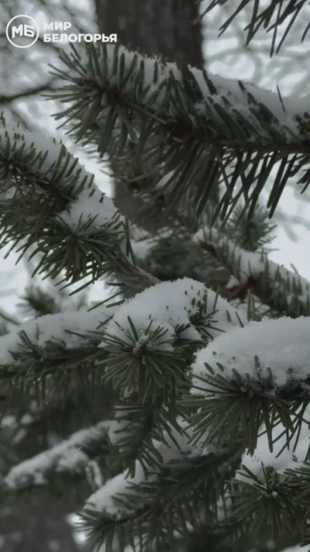 � ���� ���, � ���� ���,. � ��� ������ ����-�� ���