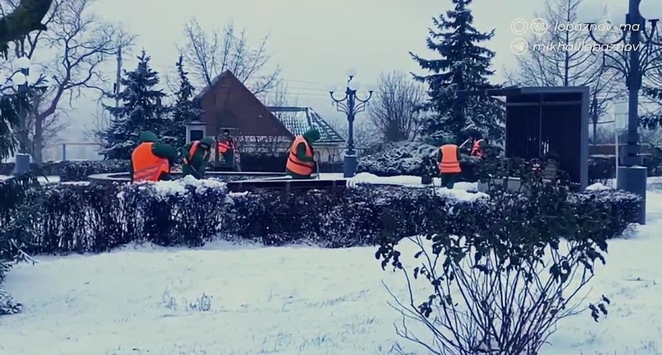 ������ ��������: �������� ����� � ��������������� ��������� ������ ������ ������������ ���������� �����