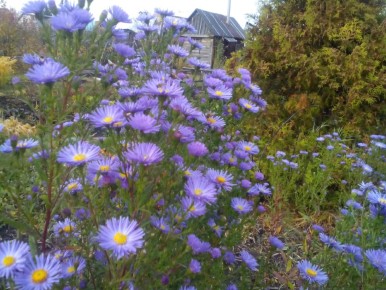 �� ��������� ������: 11 ������������ ������ ��� ������ ���� � 2025 ����