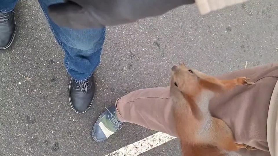 ��� ����� �������������� ������� �������� � ������-�����