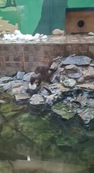 ������ �� ������ �� �����, ��������� � ����� ������� ���� ������! ������� ��� ��� �������� ��������� ��������