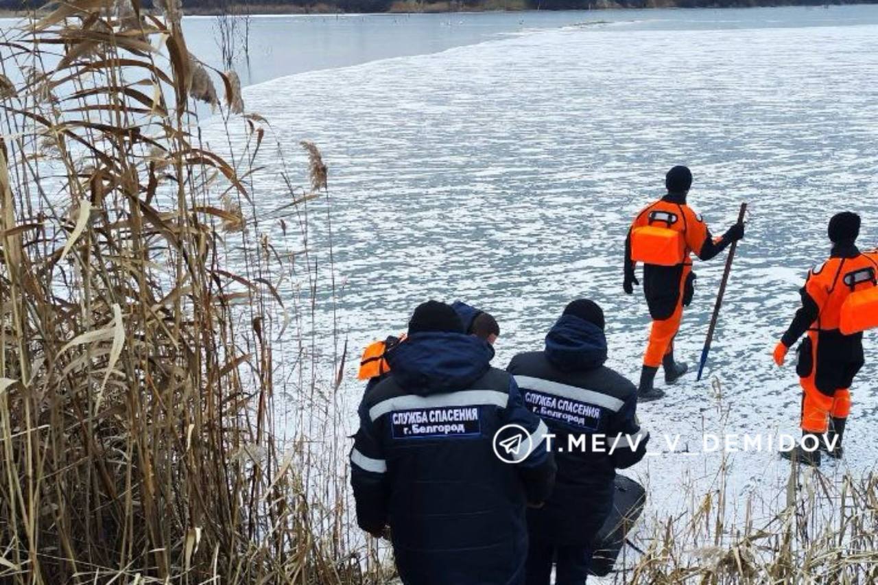 Спасатели ГОЧС Белгорода вызволили из ледяного плена лебедя