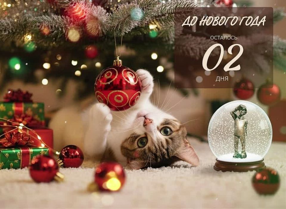 �� ������ ����2���!. ������ ����, �������������! ������� ����� 2 ��� �� ������� ���������