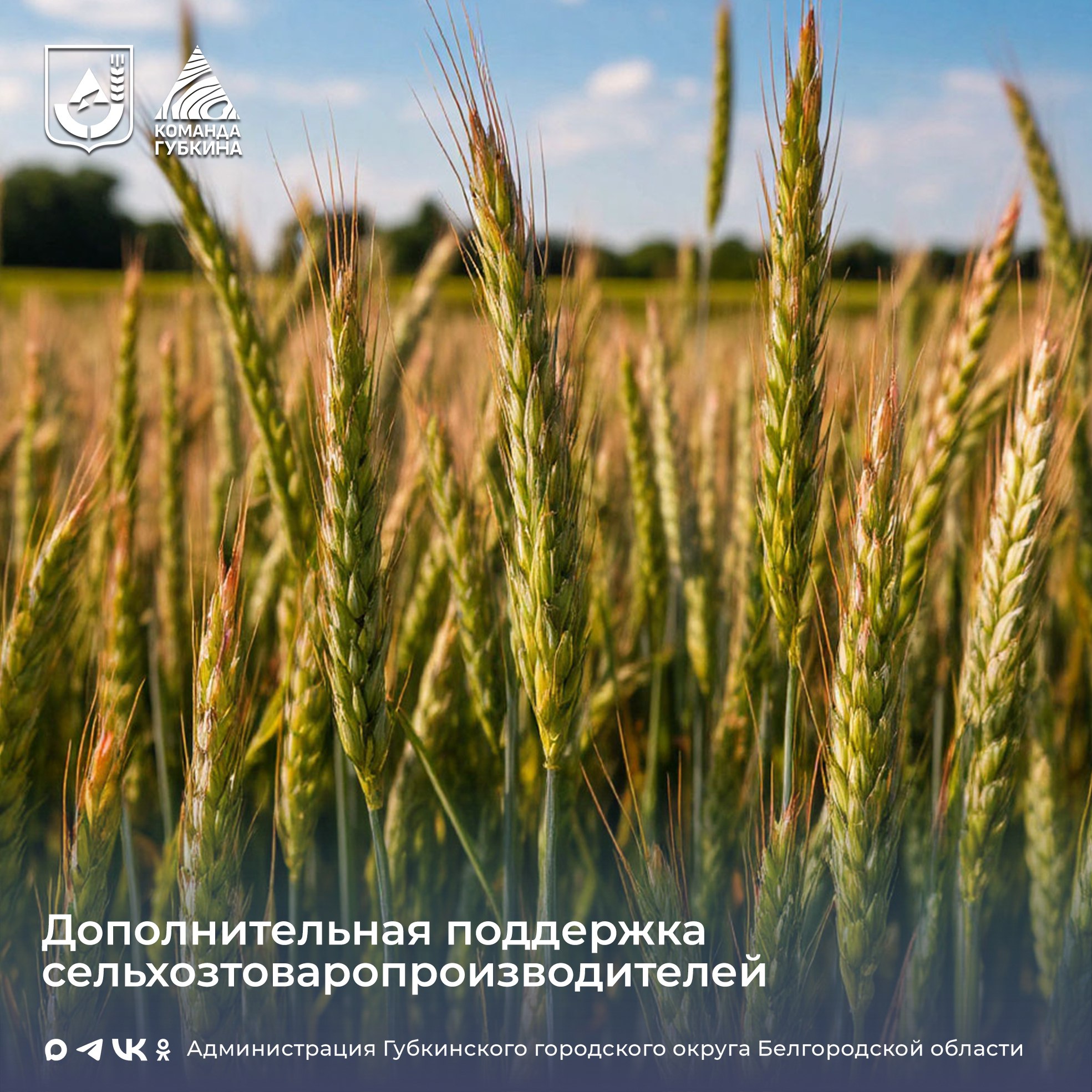 Изменения касаются и земель Губкинского городского округа