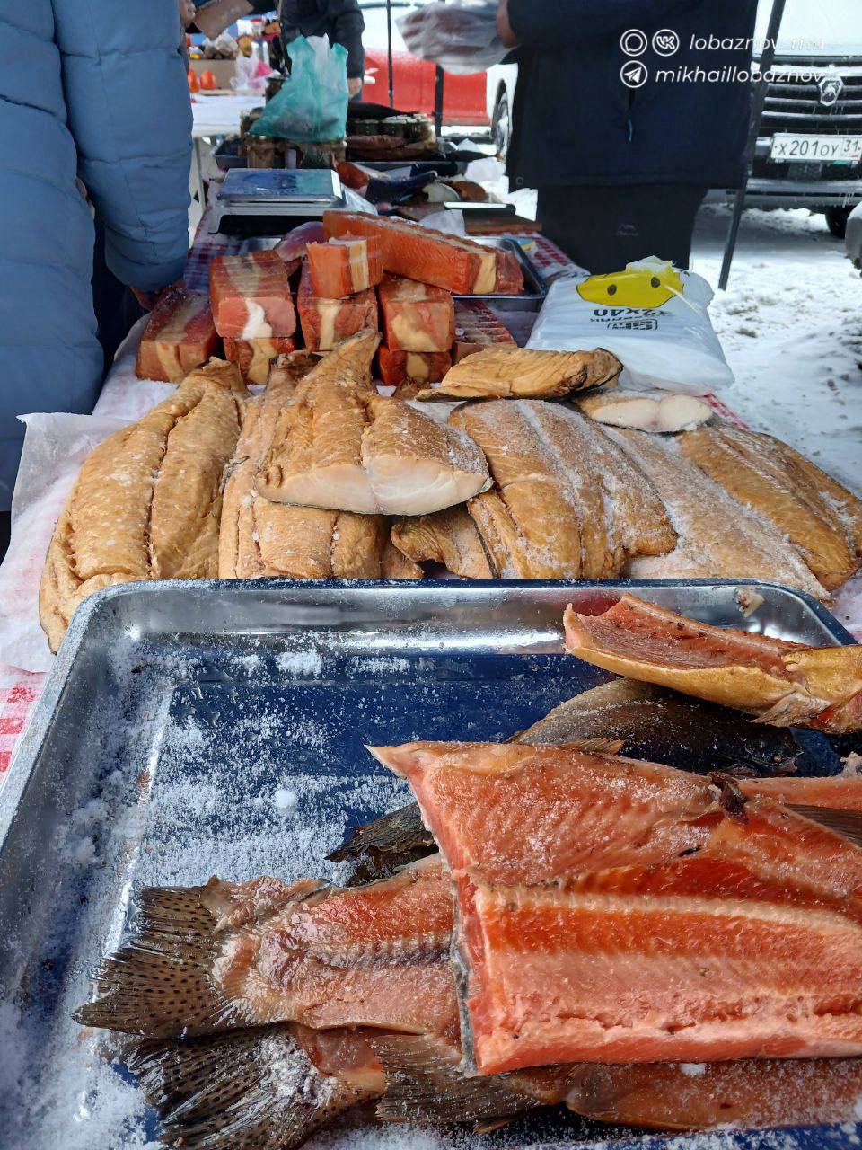 Итоговая фермерская ярмарка - 2025 Итоговая фермерская ярмарка - 2025