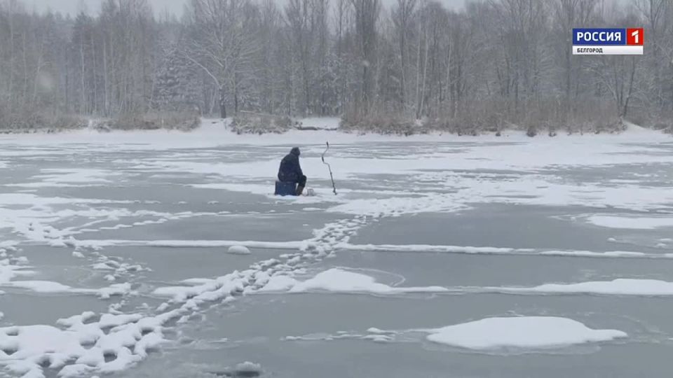 ˸� ��� ������, ������������� ���������� ���