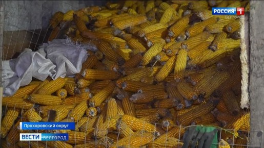 � ���������� �������� ������-���������� ����� ������