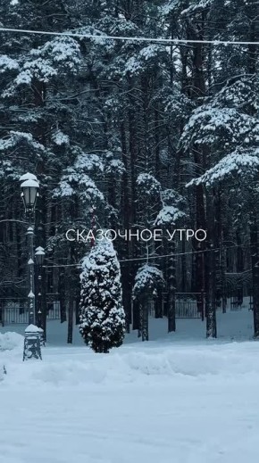 Погода 30 декабря. Сегодня синоптики обещают слабый снег