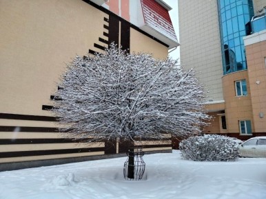 Сегодня, 30 декабря, будет облачно