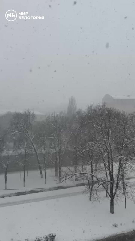 ������� ����� � ���������