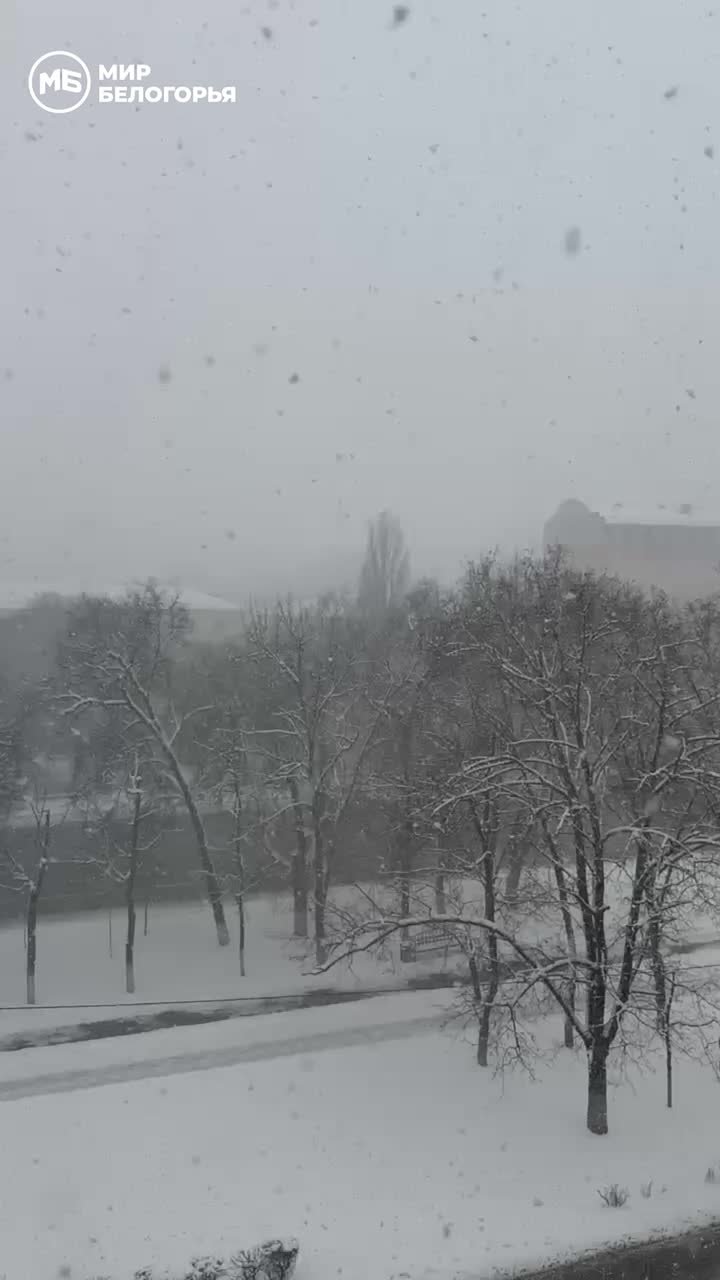 Полчаса назад в Белгороде