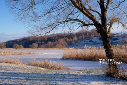 ������ ����, ������� �����!