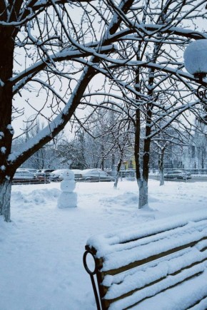 С наступающим Новым годом, Белгород!