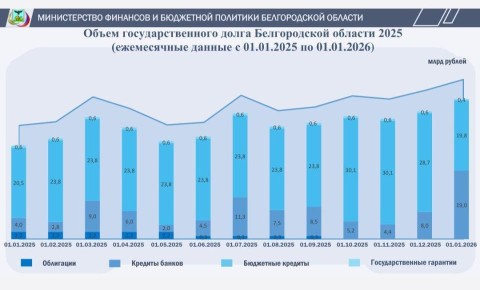 Объём государственного долга Белгородской области: