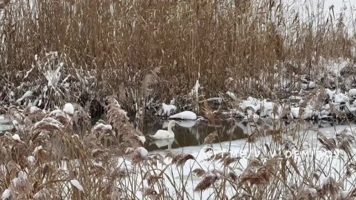 �������� �������: � ������ ��������� � ��� �������� ������ �������� ���� ����� ���