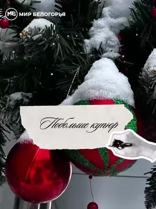 ���� �����!. ����� ����� ��� ����� ������ �� ����� ������? ��� ���� ������������ �� 2026 ���