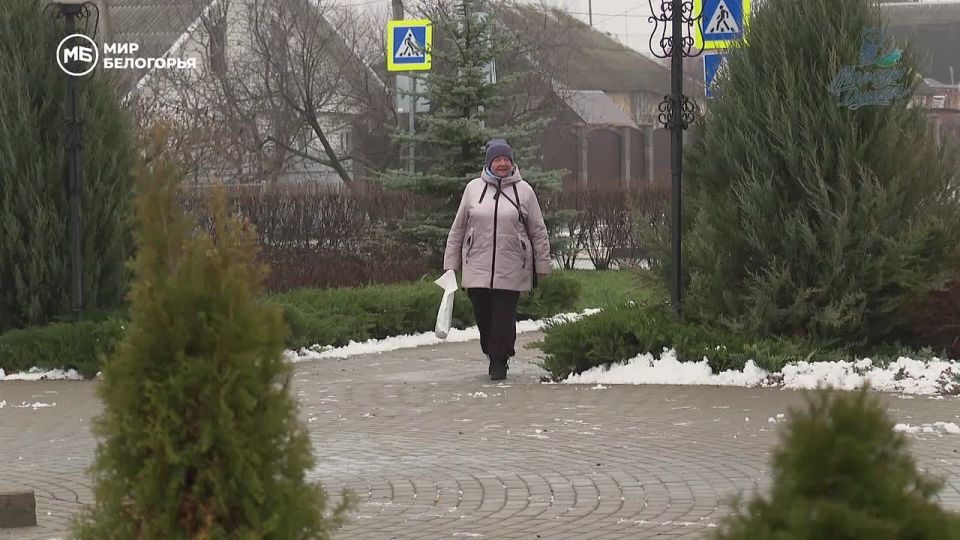 Их каникулы – добрые дела. Пока многие отдыхают, они наводят порядок на родниках, готовят пирожки для военных и навещают одиноких соседей