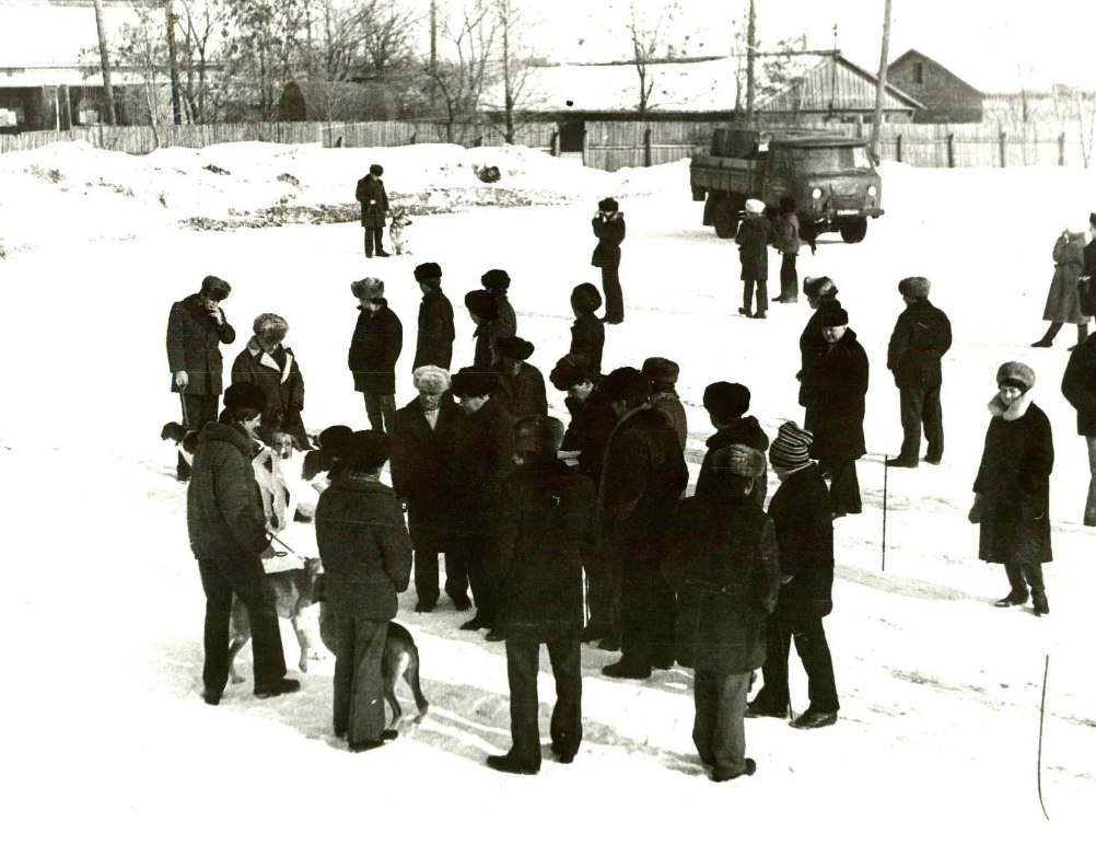 От старых напечатанных фотографий веет теплом и ностальгией От старых напечатанных фотографий веет теплом и ностальгией