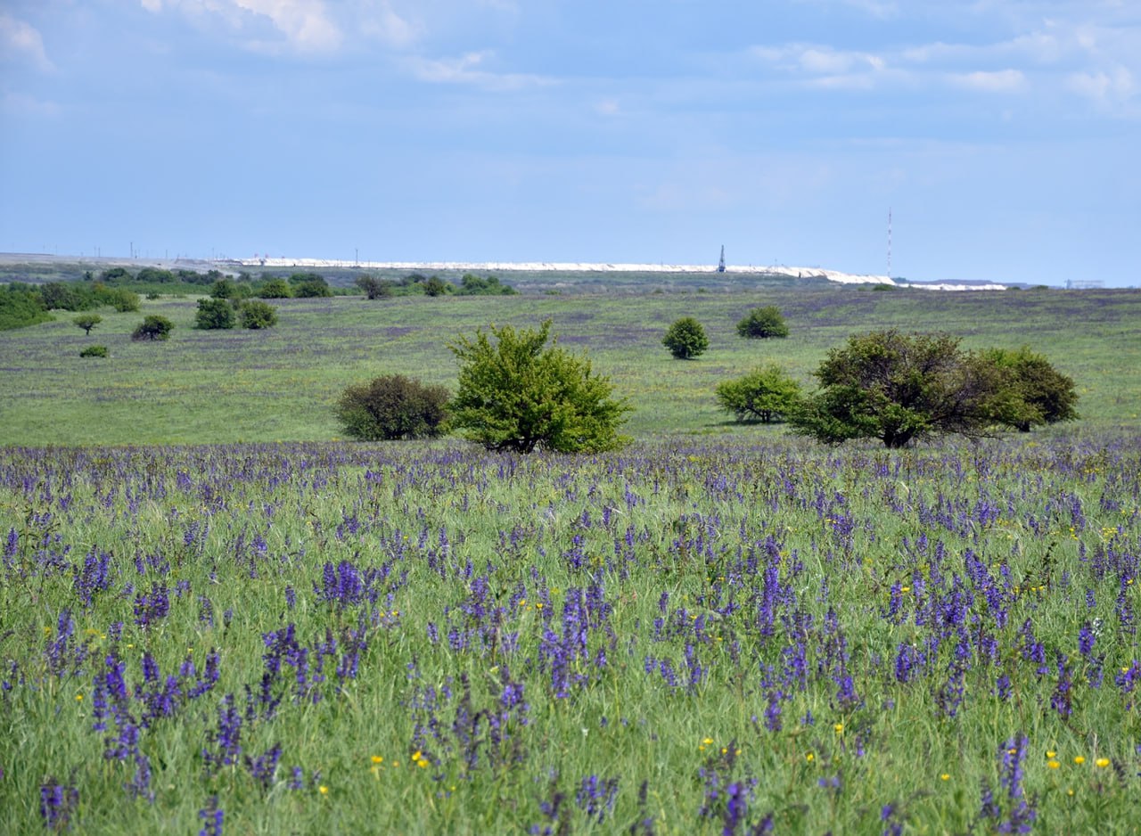 Как необычно подвести итоги года? Как необычно подвести итоги года?