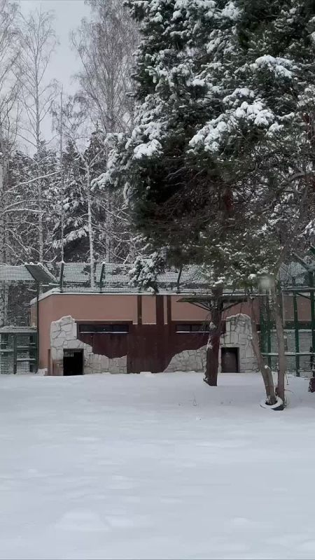 ��������� �� ������������� �������� �������-�� ����� � ������