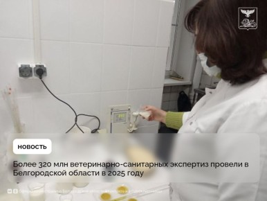 Более 320 млн ветеринарно-санитарных экспертиз провели в Белгородской области в 2025 году