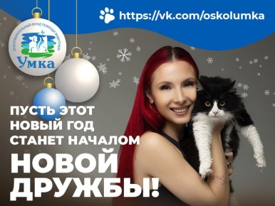 Зима теплее, когда рядом верный друг