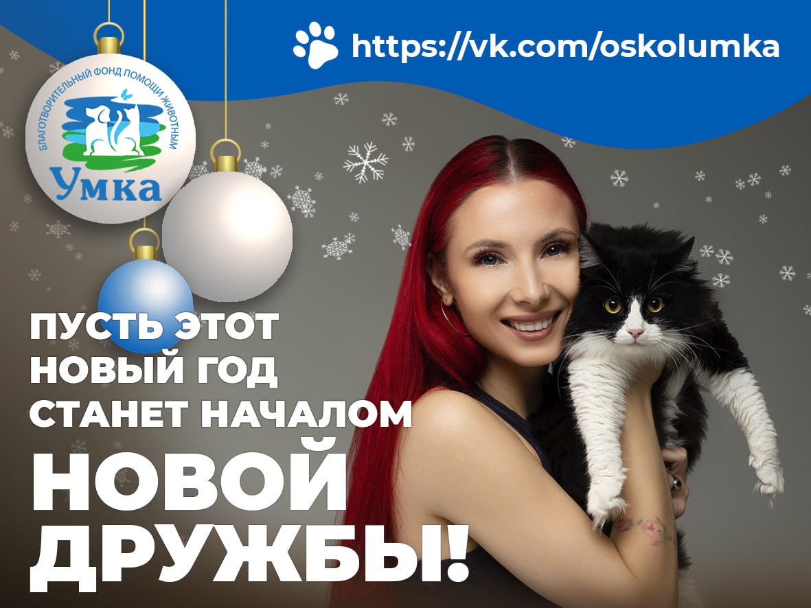 Зима теплее, когда рядом верный друг