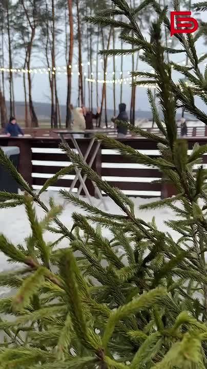 ��� ���� ������ ���� � ������� ������������