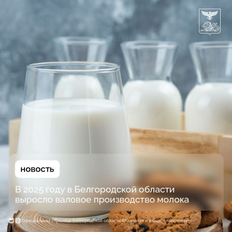 � 2025 ���� � ������������ ������� ������� ������� ������������ ������