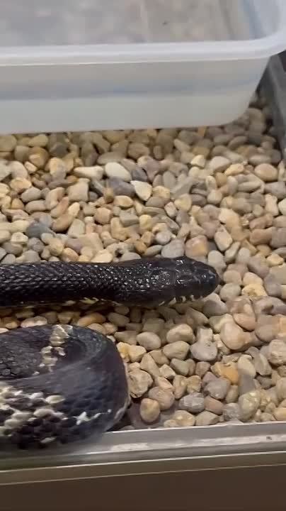 �� ������, ��� �������� � ���������� ���������? � �� �������� ����� ��������?