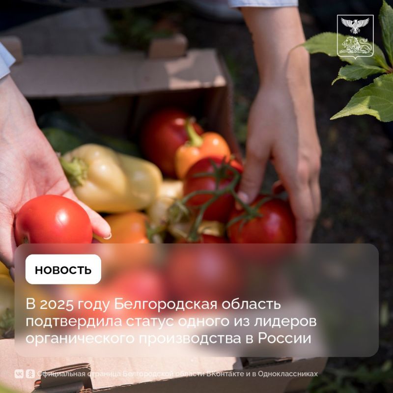 � 2025 ���� ������������ ������� ����������� ������ ������ �� ������� ������������� ������������ � ������