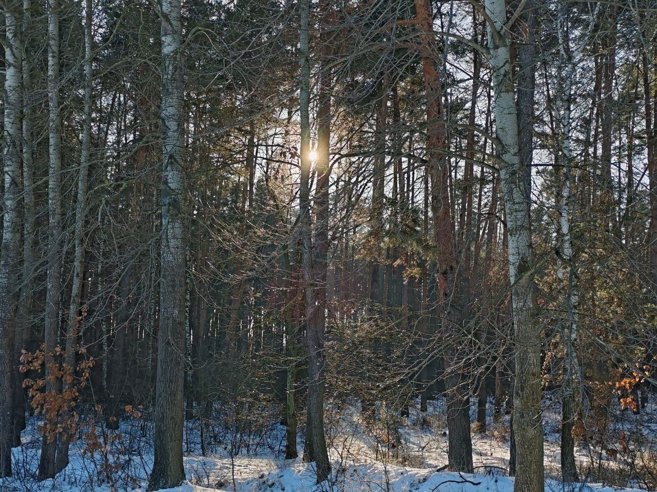 Сегодня, 5 января, облачно с прояснениями