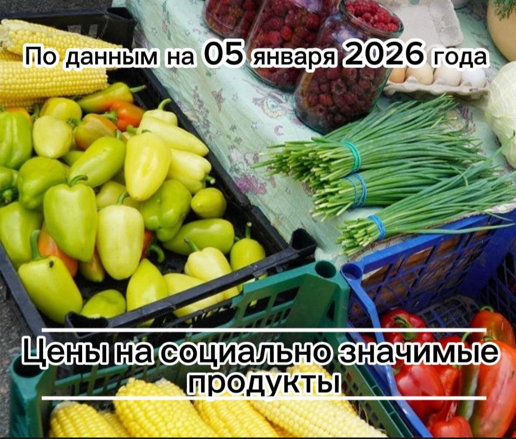 Владимир Переверзев: Где дешевле всего купить необходимые продукты в посёлке Борисовка