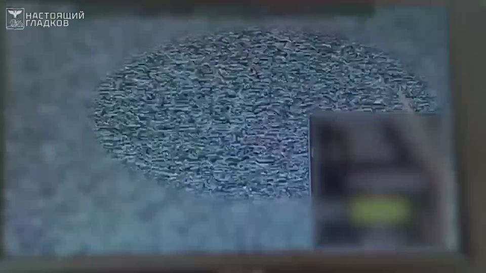 Бойцы «Орлана» и «Барса-Белгород» продолжают уничтожать беспилотники ВСУ на территории региона