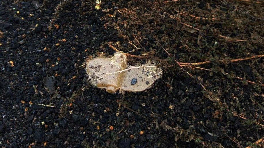 В 2025 году в Белгородской области обезвредили более шести тысяч взрывоопасных предметов