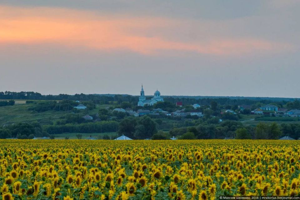 ������ �����: � ���� ��������, ��� ������ ������������!