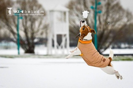 Погода 7 января. Сегодня синоптики обещают облачную погоду и дождь со снегом
