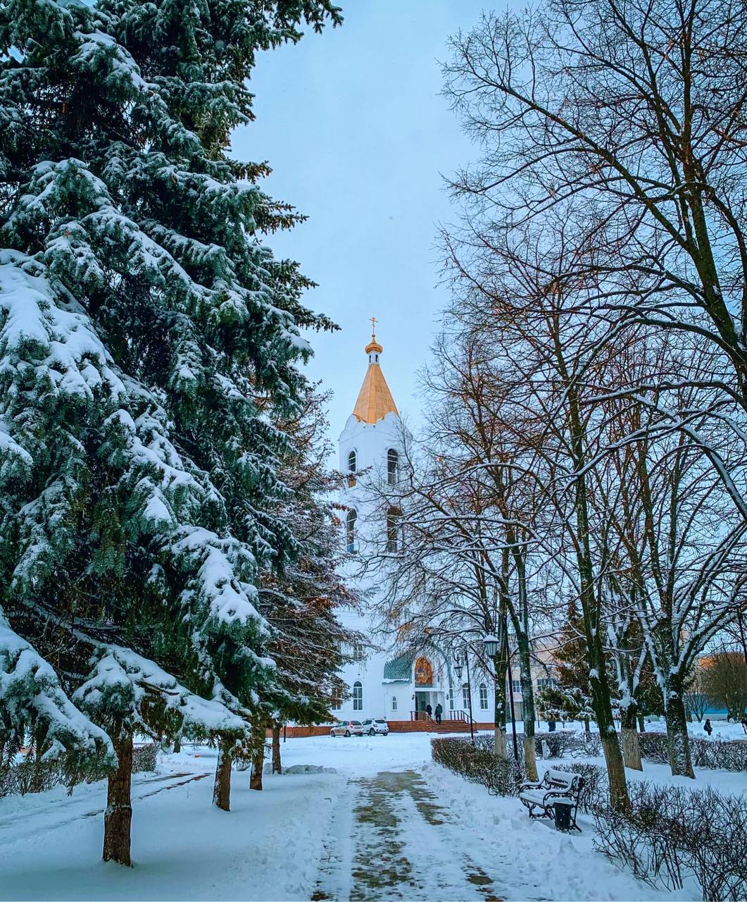 Светлана Халеева: Уважаемые жители Алексеевского муниципального округа!