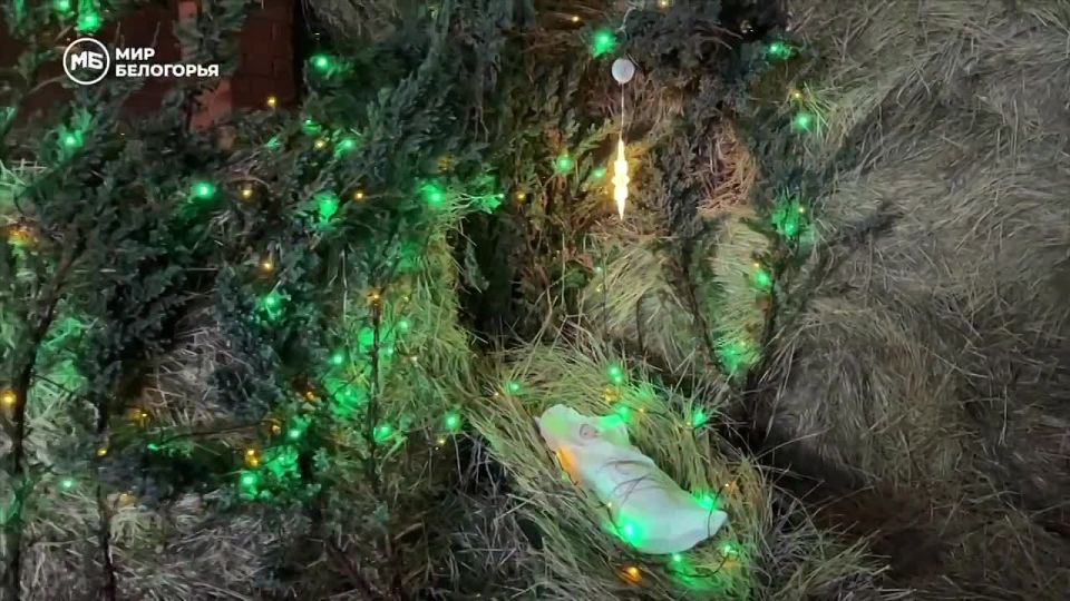 ������� ��������: � ������������ ������ ���������������� ����� ������� ���� ������� ���������