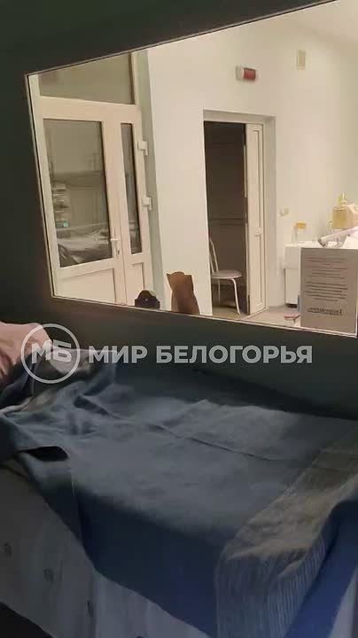 ������������ �������� ��. �. �. �����������