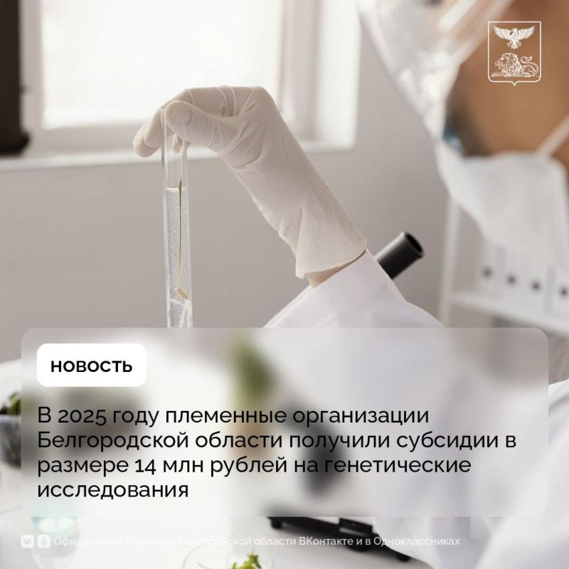 � 2025 ���� ��������� ����������� ������������ ������� �������� �������� � ������� 14 ��� ������ �� ������������ ������������