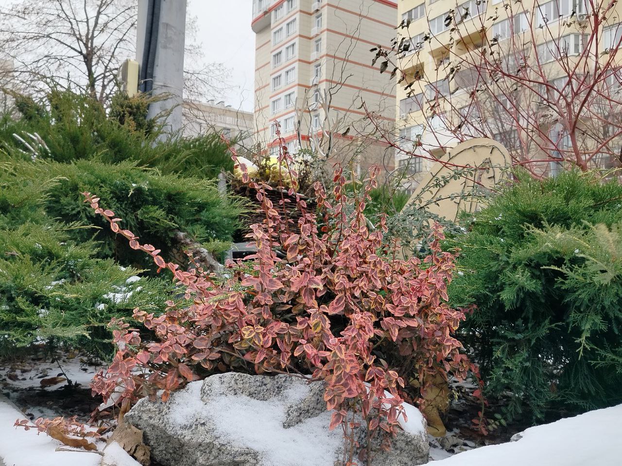 Сегодня, 11 января, будет облачно