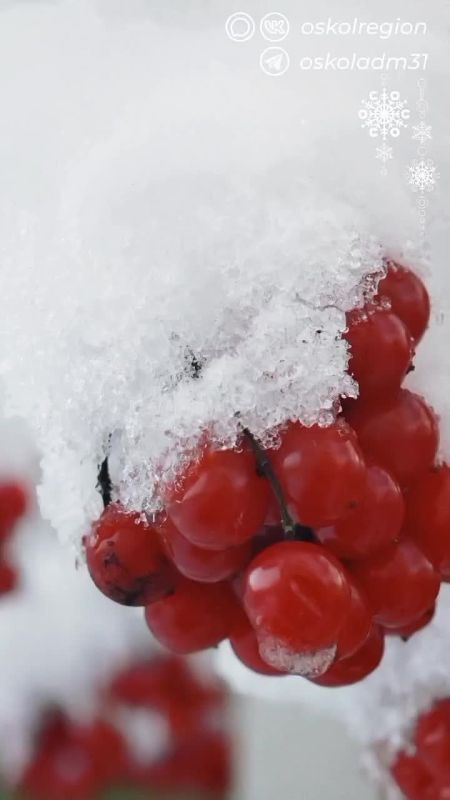 ������ ����, ������� �������������!