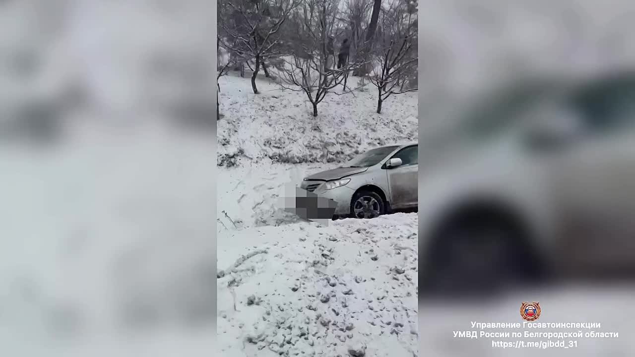 14-летняя девочка пострадала в столкновении иномарок в Старооскольском округе