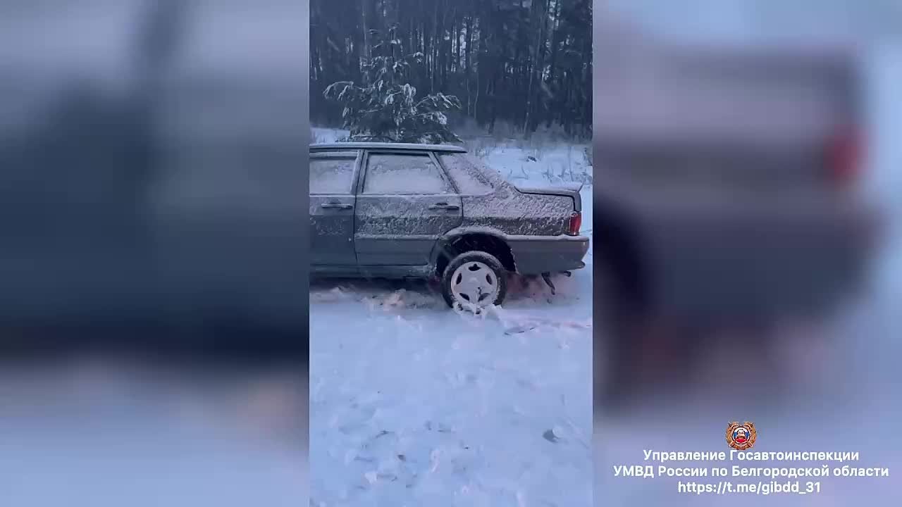 #СВОДКА_ДТП. По предварительным данным, вчера около 14 часов 00 минут на 8 км автодороги «Незнамово- Архангельское- Потудань- Роговатое»- Озерки-Выползово» 20-летняя девушка, управляя автомобилем «ВАЗ 2115», допустила выезд...